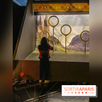 Harry Potter l'exposition quidditch
