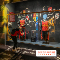 Harry Potter l'exposition quidditch