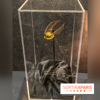 Harry Potter l'exposition quidditch