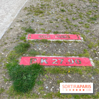 Balade sur la Petite Ceinture du 19e - IMG 1949