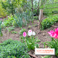 Balade sur la Petite Ceinture du 19e - IMG 1974