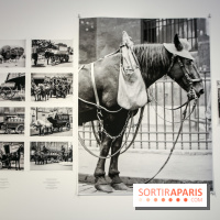 Paris Animal, nos photos de l'expo à Paris - IMG 9788