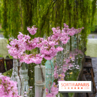 Le Moulin jaune - Hanami 2023