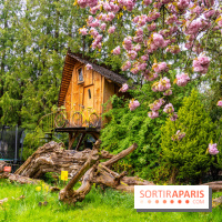 Le Moulin jaune - Hanami 2023