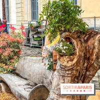 Esprit Jardin à Versailles - Marché aux plantes et animations  - IMG 6089