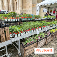 Esprit Jardin à Versailles - Marché aux plantes et animations