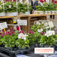 Esprit Jardin à Versailles - Marché aux plantes et animations  - IMG 6125