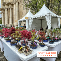 Esprit Jardin à Versailles - Marché aux plantes et animations