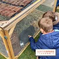 Esprit Jardin à Versailles - Marché aux plantes et animations  - IMG 6147