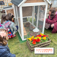 Esprit Jardin à Versailles - Marché aux plantes et animations  - IMG 6144