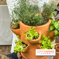 Esprit Jardin à Versailles - Marché aux plantes et animations