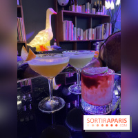 Griffon - Visuels - IMG 3820