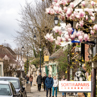 Barbizon, le village entre art et nature  -  A7C7566