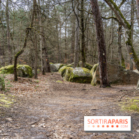 Barbizon, le village entre art et nature  -  A7C7555