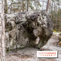 Barbizon, le village entre art et nature  -  A7C7538