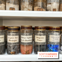 Musée de la Pharmacie - Dynastie Menier - IMG 2188