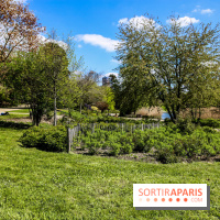 Parc André Malraux à Nanterre, nos photos - IMG 9729