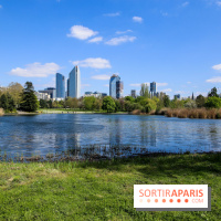 Parc André Malraux à Nanterre, nos photos - IMG 9745