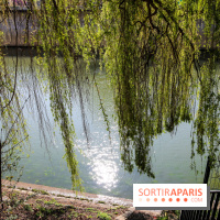 L'île de la Jatte, nos photos - IMG 9669