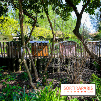 L'île de la Jatte, nos photos - IMG 9711