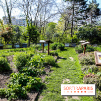 L'île de la Jatte, nos photos - IMG 9712