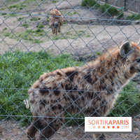 Zoo de Thoiry 2023 - C68095A7 B686 4025 A2E0 C52822B6A9A5