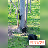 Zoo de Thoiry 2023 - 7DE55C2E A60A 4159 B6F6 87DF3CAC2EA0