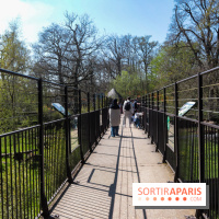 Zoo de Thoiry 2023 -  Félins