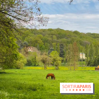 Balade - rando de Jouy-en-Josas jusqu'à l'Aqueduc de Buc