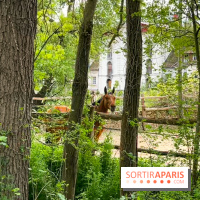 Balade - rando de Jouy-en-Josas jusqu'à l'Aqueduc de Buc - image00013