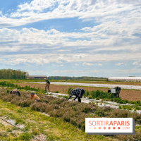 La Ferme de Viltain / La Cueillette de Viltain - image00003