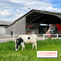 La Ferme de Viltain / La Cueillette de Viltain - image00010