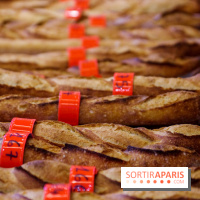 Concours de la meilleure baguette de Paris 2023 - Visuel baguette pain