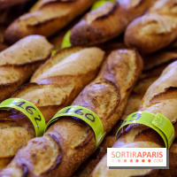 Concours de la meilleure baguette de Paris 2023 - Visuel baguette pain