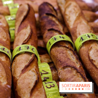 Concours de la meilleure baguette de Paris 2023 - Visuel baguette pain