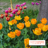 Wat Thammapatip Inrernational : la pagode bouddhiste et sa street food thaï, à Moissy-Cramayel - 99FD4B48 6186 4387 98E1 8653B6C21110