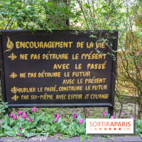 Wat Thammapatip Inrernational : la pagode bouddhiste et sa street food thaï, à Moissy-Cramayel - DC925664 D492 4B7B BB8D 64DF7F4274F6