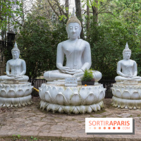 Wat Thammapatip Inrernational : la pagode bouddhiste et sa street food thaï, à Moissy-Cramayel - 024D160D 6207 4F1D B793 94EDF5315D31