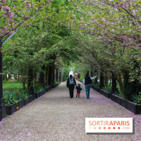 Wat Thammapatip Inrernational : la pagode bouddhiste et sa street food thaï, à Moissy-Cramayel - EA0A1E4A BA57 4367 A20B CA7CB783ACEE