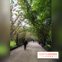 Wat Thammapatip Inrernational : la pagode bouddhiste et sa street food thaï, à Moissy-Cramayel - 46BBD488 AE64 4018 804F A19357A1C24A