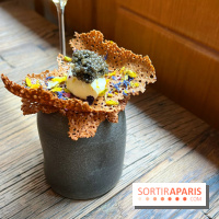 Géosmine - Crackers sarrasin caviar