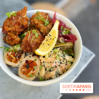 Nakatsu - Donburi karaage