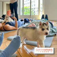 Puppy Yoga