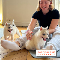 Puppy Yoga