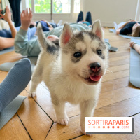 Puppy Yoga