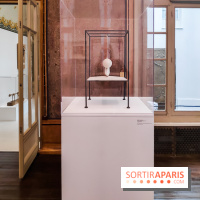 Exposition ASensitiv de Warren à l'Institut Giacometti - nos photos - IMG 20230515 114029