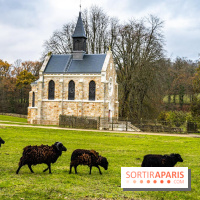 Domaine National de Port-Royal des Champs dans les Yvelines
