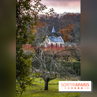 Domaine National de Port-Royal des Champs dans les Yvelines -  A7C3230