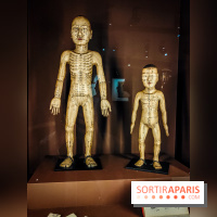 Médecines d'Asie, l'art de l'équilibre : l'exposition bien-être étonnante du musée Guimet - photos