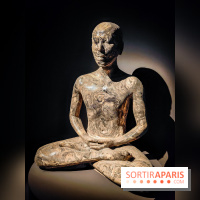 Médecines d'Asie, l'art de l'équilibre : l'exposition bien-être étonnante du musée Guimet - photos